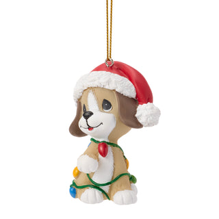 Precious Moments: Christmas Dog Hanging Ornament sparkle-castle