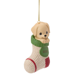 Precious Moments: Dated 2026 Dog Hanging Ornament sparkle-castle