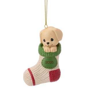 Precious Moments: Dated 2026 Dog Hanging Ornament sparkle-castle