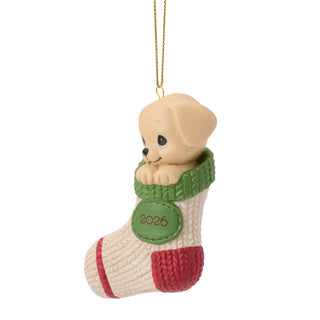 Precious Moments: Dated 2026 Dog Hanging Ornament sparkle-castle