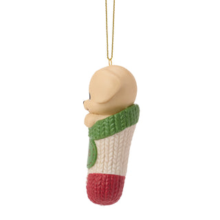 Precious Moments: Dated 2026 Dog Hanging Ornament sparkle-castle