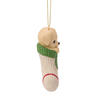 Precious Moments: Dated 2026 Dog Hanging Ornament sparkle-castle