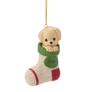 Precious Moments: Dated 2026 Dog Hanging Ornament sparkle-castle