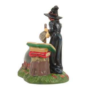 Department 56 Snow Village Halloween: Fire Burn & Cauldron Bubble Village Figures