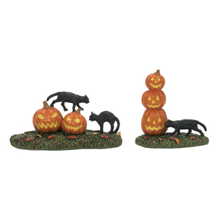 Department 56 Village Supply Halloween: Scary Cats On Pumpkins, Set of 2 sparkle-castle
