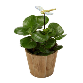 Jim Shore Heartwood Creek: Dragonfly Plant Stake Plant Stake