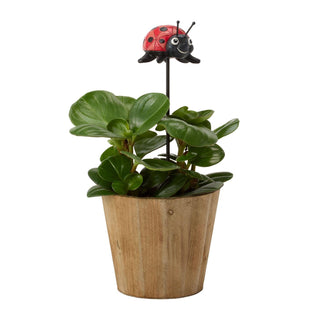 Jim Shore Heartwood Creek: Plant Stake Ladybug Plant Stake