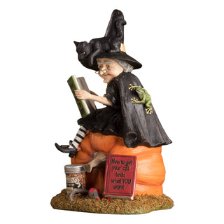 Bethany Lowe Halloween: How to Train Your Black Cat Figurine sparkle-castle
