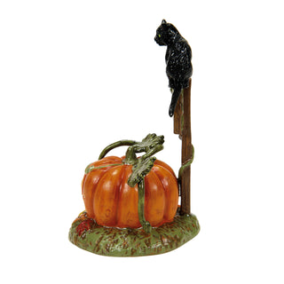 Department 56 Cross Product Halloween Village Accessory: Feline Noir, 2024 sparkle-castle
