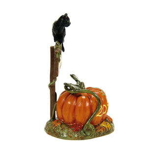 Department 56 Cross Product Halloween Village Accessory: Feline Noir, 2024 sparkle-castle