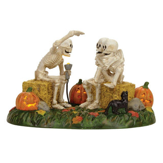 Department 56 Snow Village Halloween Accessory: Scary Skeleton Stories sparkle-castle